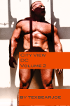 cityviewdcvol2